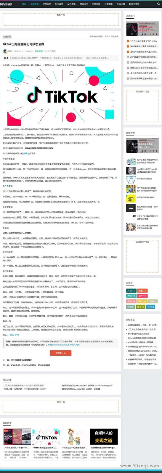 簡潔自適應大氣個人博客,SEO博客,新聞資訊博客文章模板優化版第3張圖片