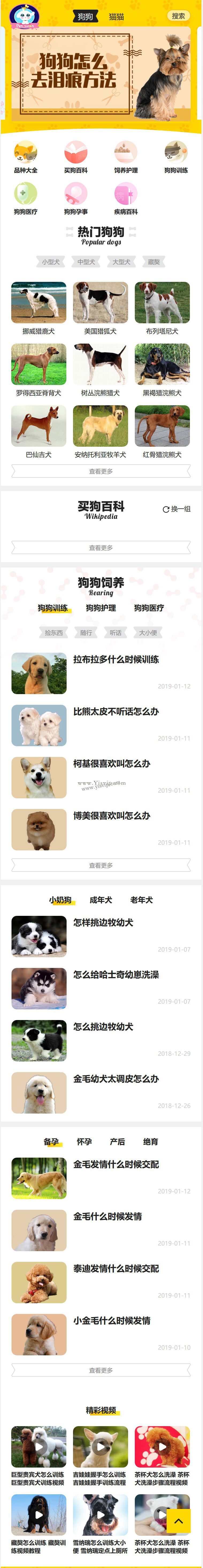 帝國cms《小可愛寵物網》寵物模板，寵物源碼簡潔大氣帶手機同步插件 第2張