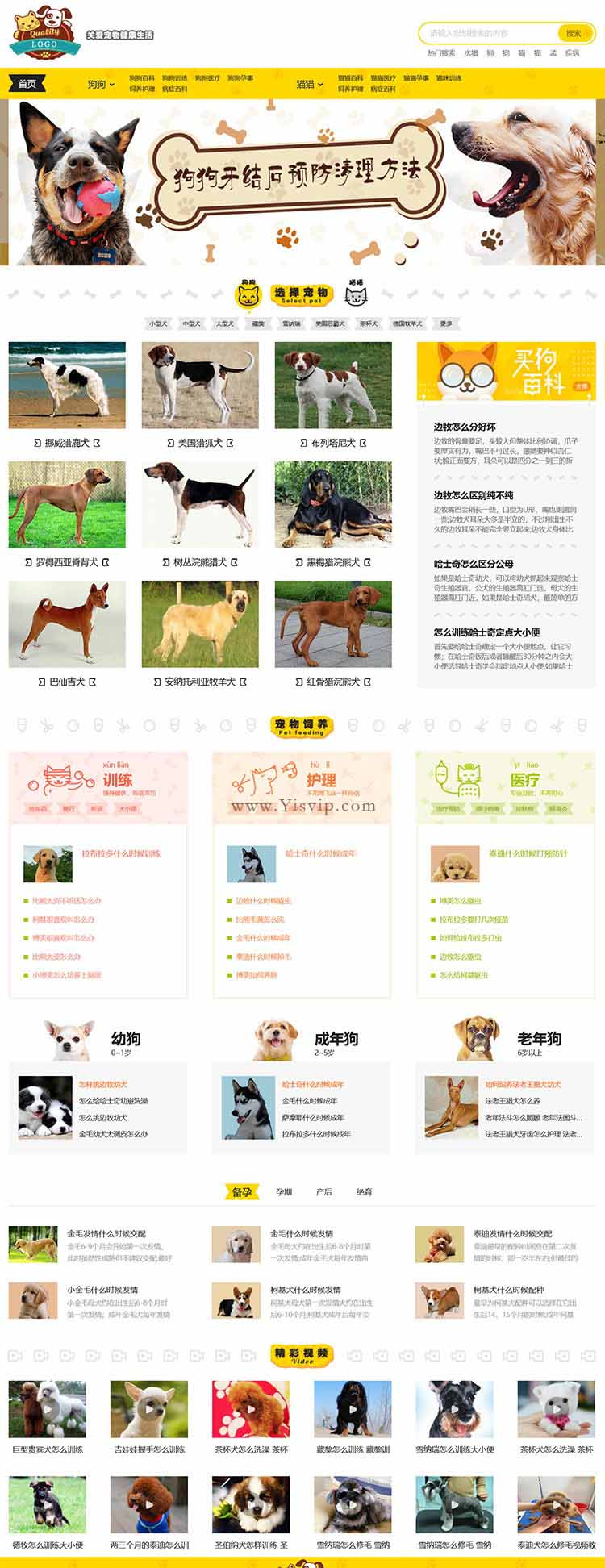 帝國cms《小可愛寵物網》寵物模板，寵物源碼簡潔大氣帶手機同步插件 第1張