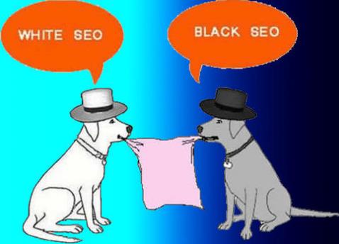 白帽SEO技術怎么做？(seo白帽是什么意思)