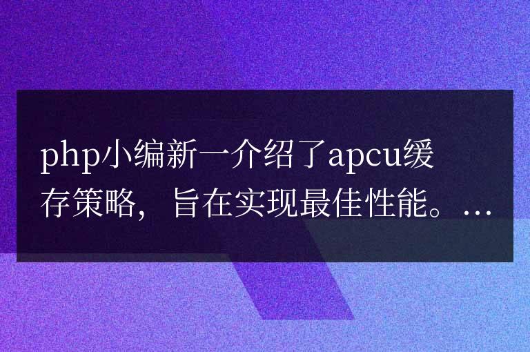 APCu 緩存策略：實現(xiàn)最佳性能