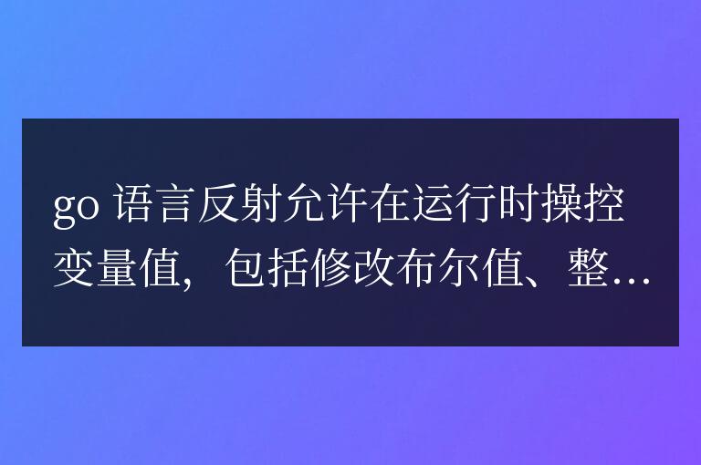 golang 如何使用反射動(dòng)態(tài)修改變量值